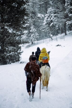 Horse Riding