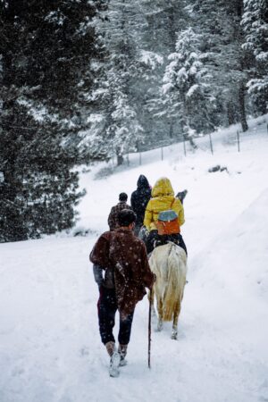Horse Riding
